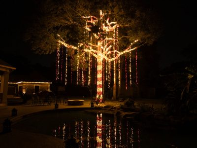 DJI_20251122191354_0361