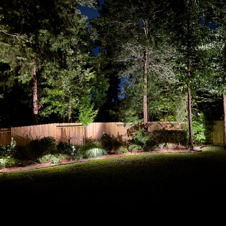 cypress-landscape2