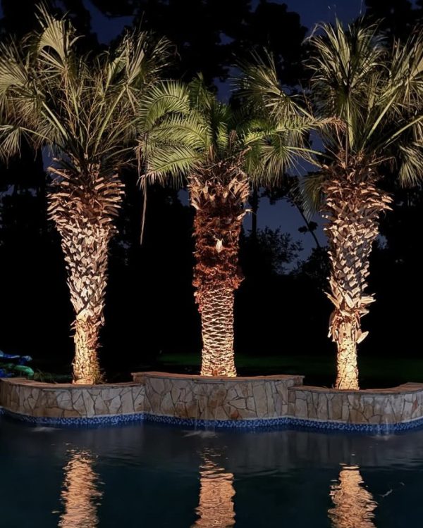 landscape-light-sq-1