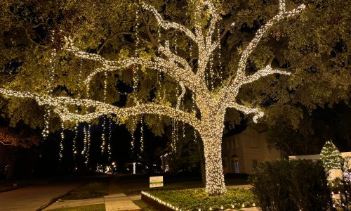 west-univ-christmas west-univ-christmas
